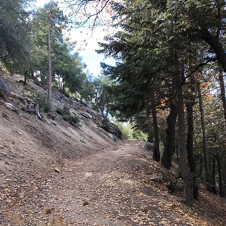 Alhatti Christian Resort Idyllwild Luaran gambar