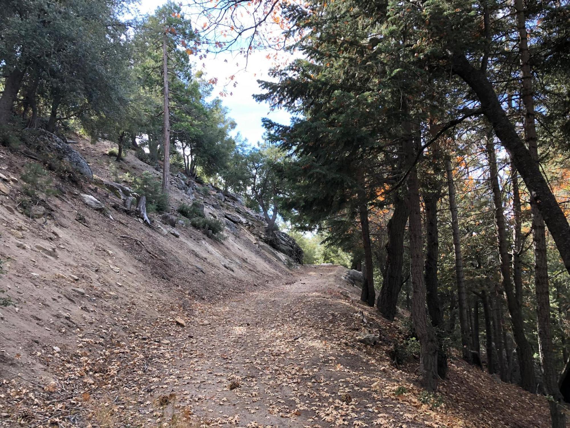 Alhatti Christian Resort Idyllwild Luaran gambar